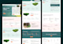 build a custom website for b2b saas, fintech and healthcare